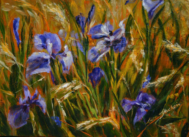 Field of Irises (sold)