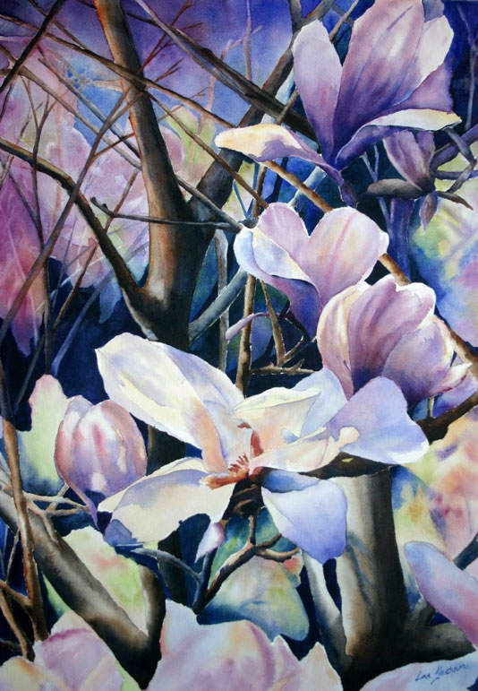 Magnolias