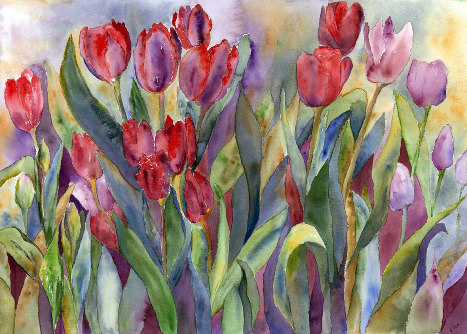 Tulips